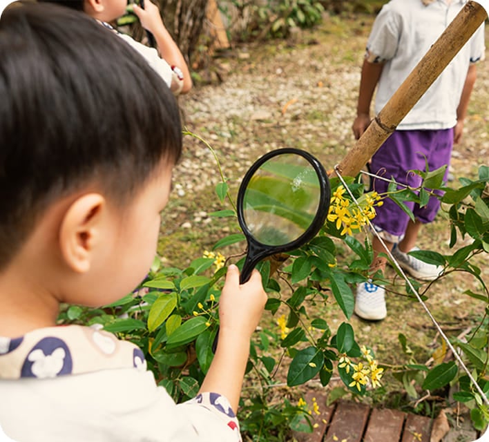 Outdoor Learning