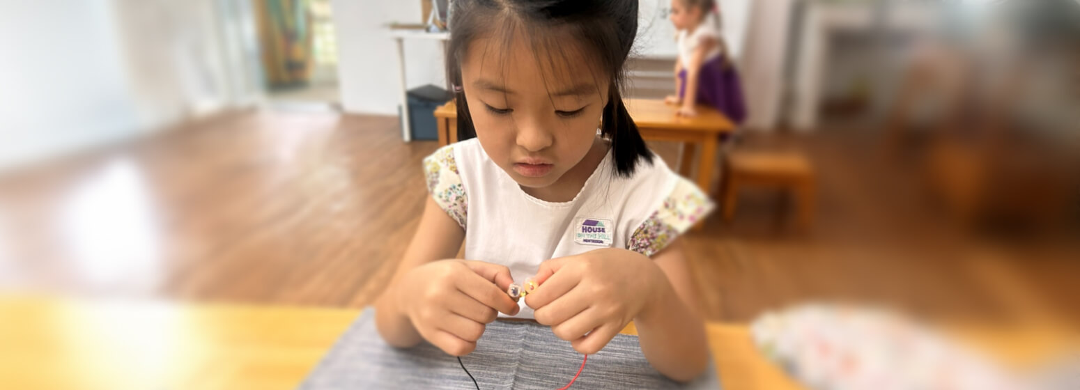 Montessori at Home: Exploring Science Through Play and Discovery